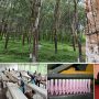 Sri Lanka to triple rubber exports by 2025