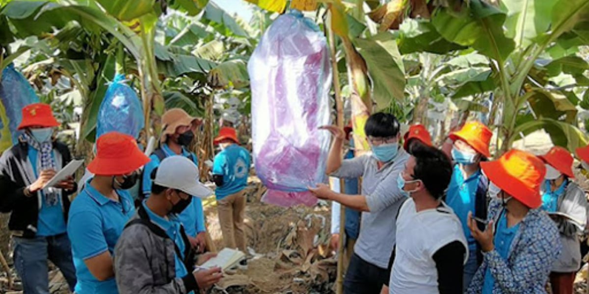 Interview: BRI to boost cooperation, mutual learning between the Arab world and China, expert says