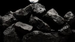 China Focus: China goes all out to pursue low-carbon growth