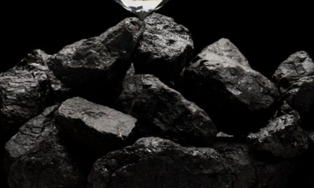 China Focus: China goes all out to pursue low-carbon growth