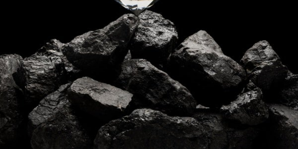 China Focus: China goes all out to pursue low-carbon growth