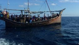 Indonesia to bring stranded Rohingya refugees to shore after protests