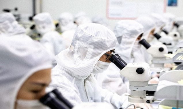 Chinese, British scientists map out development of interneurons in humans