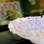 Lira plunges as Turkey cuts interest rate again