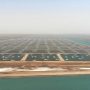 NEOM, TRSDC to help boost Saudi aquaculture yield fivefold by 2030