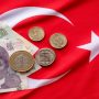 Fitch hits Turkish banks with rating cuts as new finance minister takes reigns