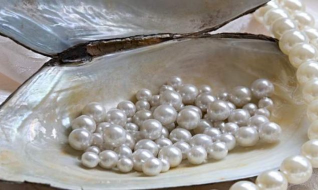 Bahrain revives its pearl industry