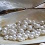 Bahrain revives its pearl industry