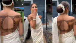 Watch woman creates saree blouse with henna in a viral video