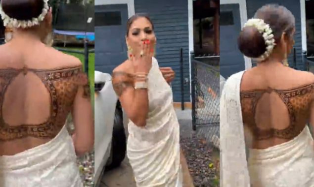 Watch woman creates saree blouse with henna in a viral video