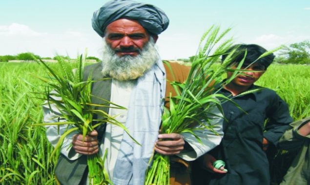 Pakistan agricultural sector