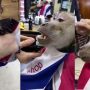 Watch: Hilarious video of a monkey going to the barber for a shave