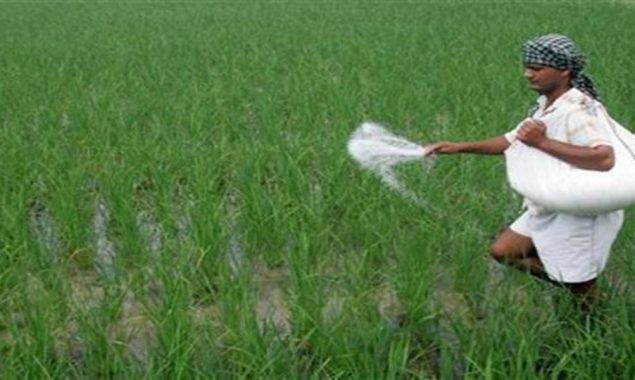 Availability of fertilisers ordered