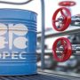 Oil heading for biggest weekly gain in four months
