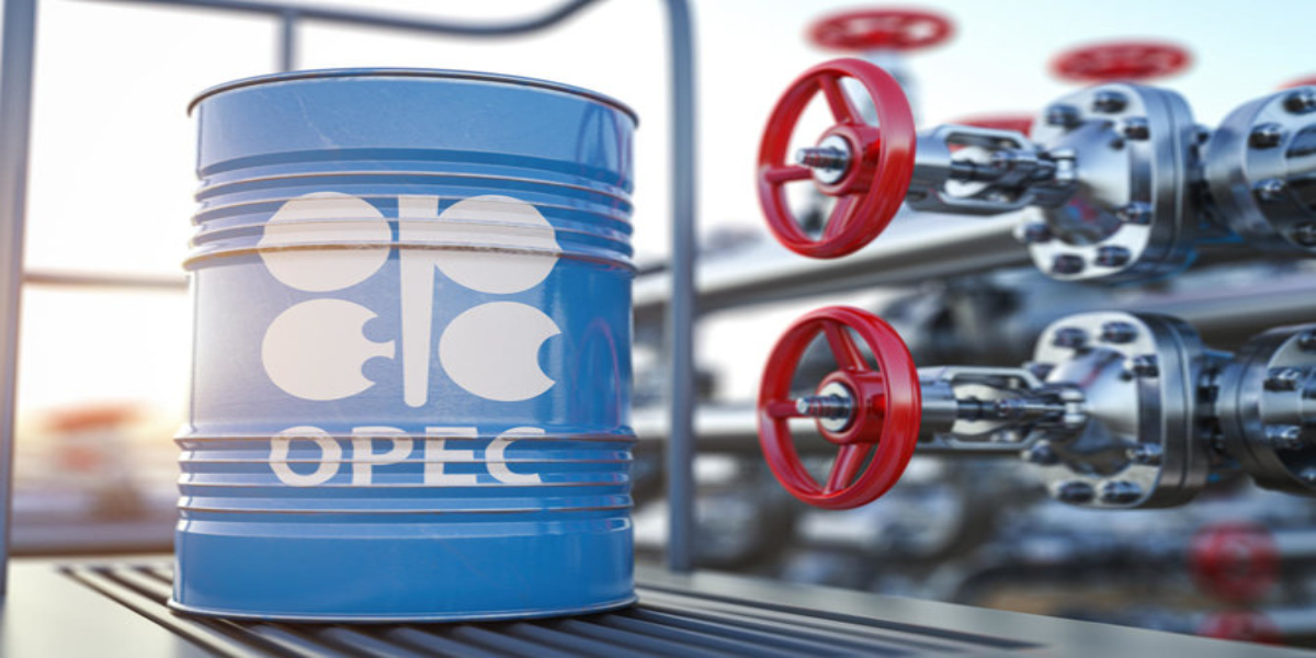 Oil