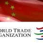 China’s inclusion in WTO helped developing countries: envoy