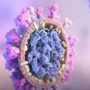 Study: Shows Omicron may pickup genetic code with common cold coronavirus