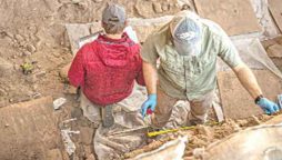 Late Iron Age longhouses discovered by Norway archaeologists