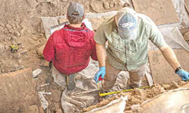 Late Iron Age longhouses discovered by Norway archaeologists