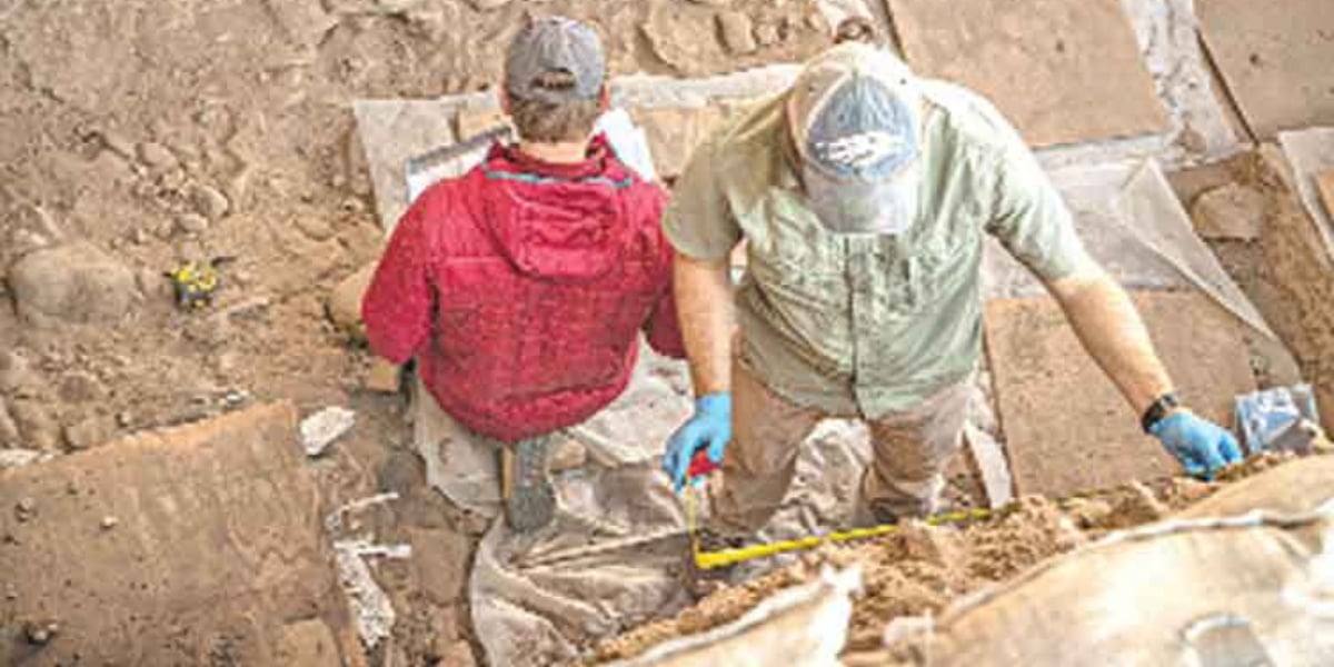 Late Iron Age longhouses discovered by Norway archaeologists
