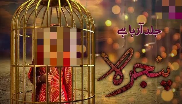 Hadiqa Kiani Gives Tribute to the Late Asma Nabeel by Starring in her Last Play ‘Pinjra.’