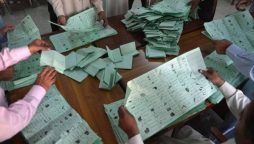 KP local government elections