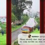 Watch video: An Indian man beats injured gaur with a stick