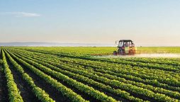 SBP praises banks for disbursing Rs1.4 trillion agriculture credit