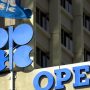 Opec+ starts talks amid oil price gyrations, Omicron fears