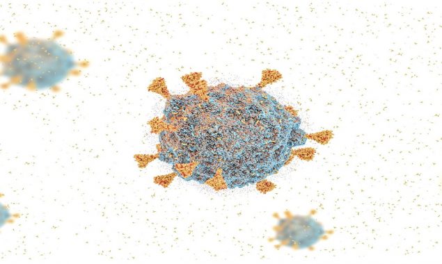 Uganda confirms 11 Omicron infections