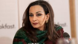 Sherry Rehman slams govt on falling rupee against dollar