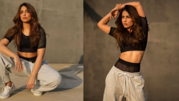 Ushna Shah
