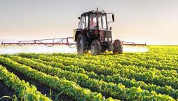 Argentinian envoy, Punjab agriculture minister discuss cooperation