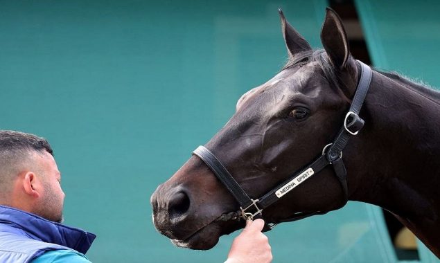 Kentucky Derby winner Medina Spirit dies: official