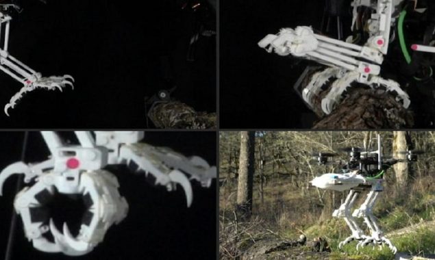 Stanford engineers build bird bots that can perch and grab objects