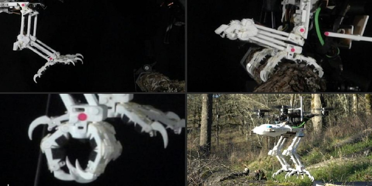 Stanford engineers build bird bots that can perch and grab objects