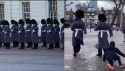 Queen's guardsman