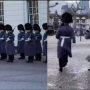 Watch the Queen’s guardsman viral video reacted by netizens
