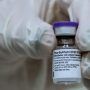 South Africa to roll out COVID booster shots next month