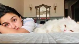 Alia Bhatt shares adorable selfie with her cat