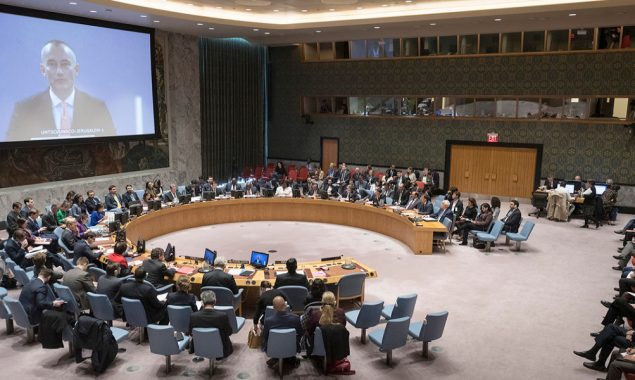 UN Security Council condemns attacks against peacekeepers in Mali