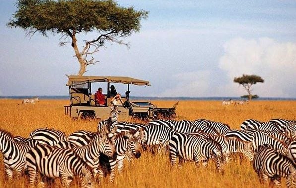 Kenya’s tourist arrivals up 40 pct in first ten months