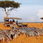Kenya’s tourist arrivals up 40 pct in first ten months