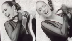 VIRAL VIDEO: Snake Bites Singer Maeta On Face During Shoot