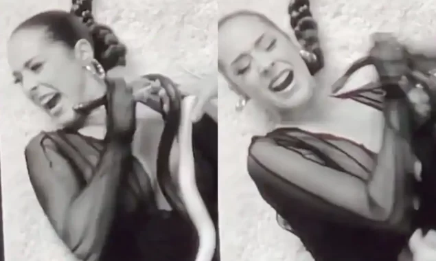 VIRAL VIDEO: Snake Bites Singer Maeta On Face During Shoot