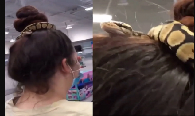 Woman wears a snake as a hairband and Goes Unnoticed at the Mall