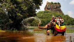 Sri Lanka logs over 150,000 tourist arrivals in 2021