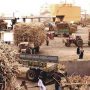 LHC extends stay order against CCP’s show-cause notices to sugar mills