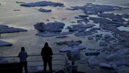 'Alarm bells' as UN validates record Arctic temperature