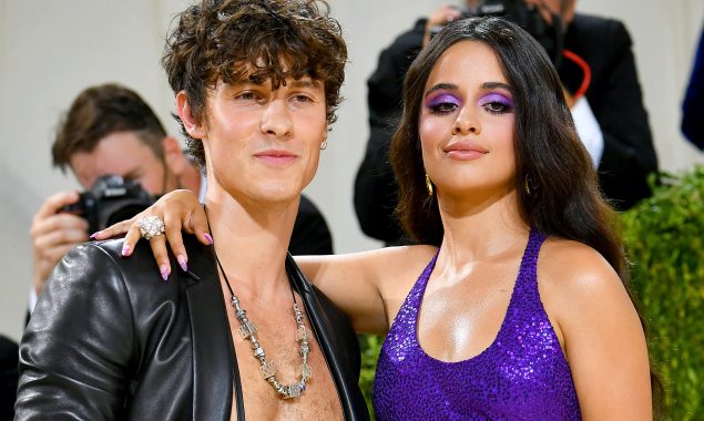 Shawn Mendes Teases New Music, Ex Camila Cabello Comments “Ur crazy wildcat.”